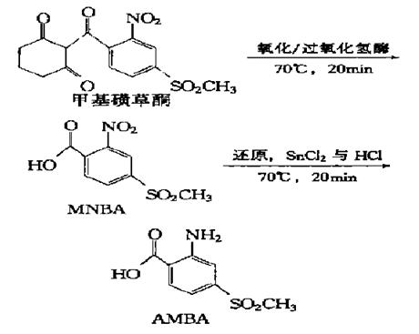 甲基磺草酮向MNBA與AMBA的轉變